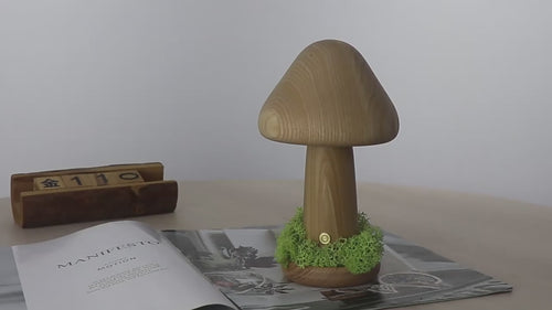 Demonstration video showing the touch-activated light feature of the Canopy Mushroom Lamp.