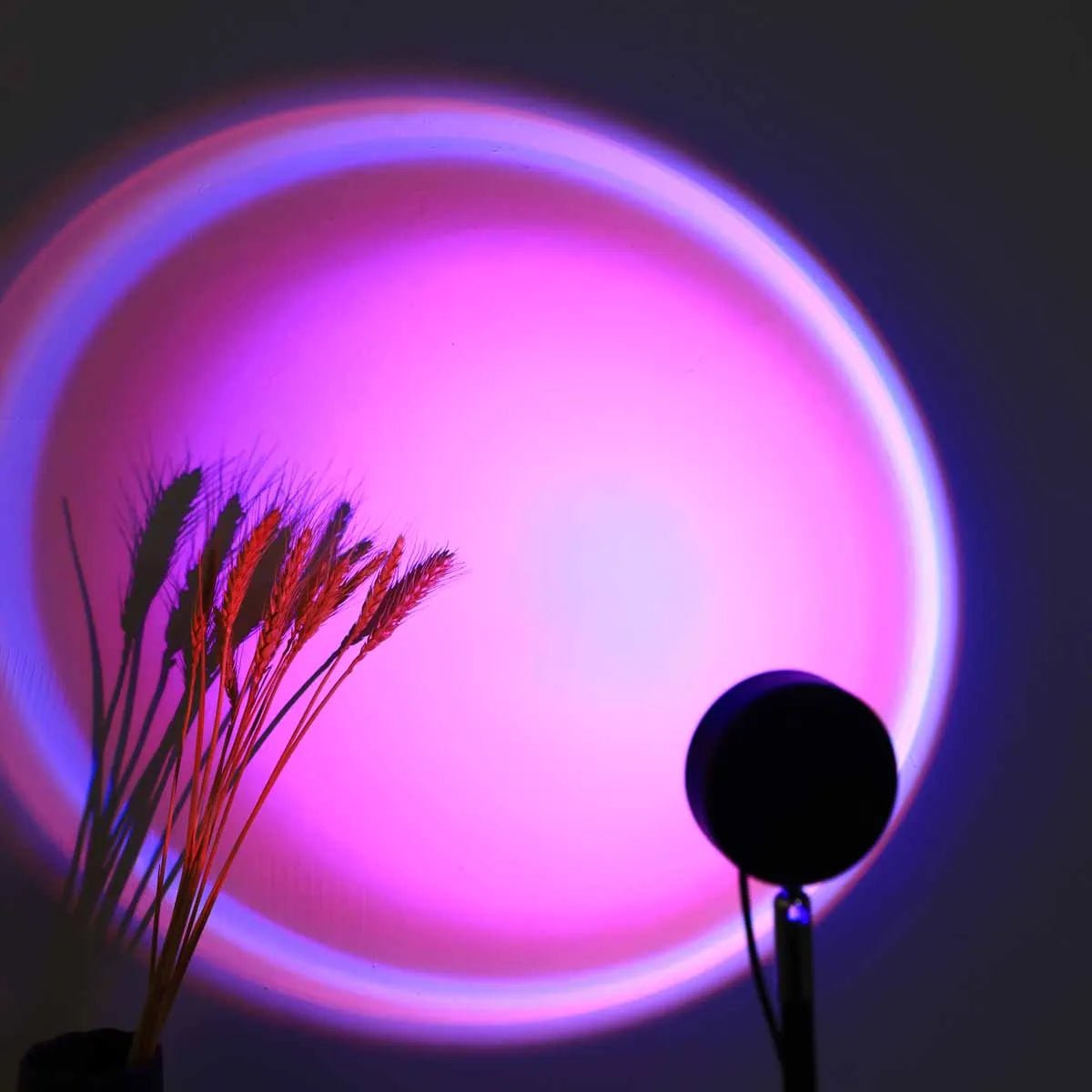 The Prism 16 - Color Sunset Projector | Rotatable Ambient Light - Glow & Drift